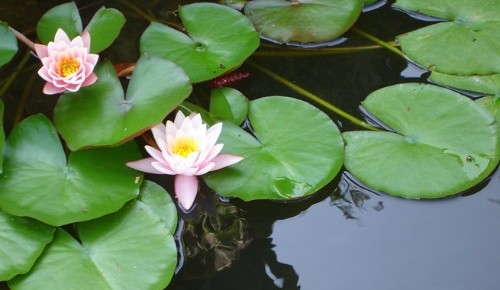 Una bella relazione inaspettata Una bella relazione inaspettata