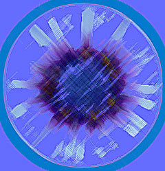 flower-disegno-josaya1