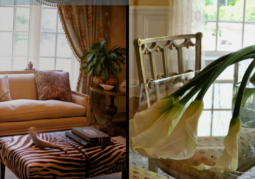 interior13-jacqueline silvestri