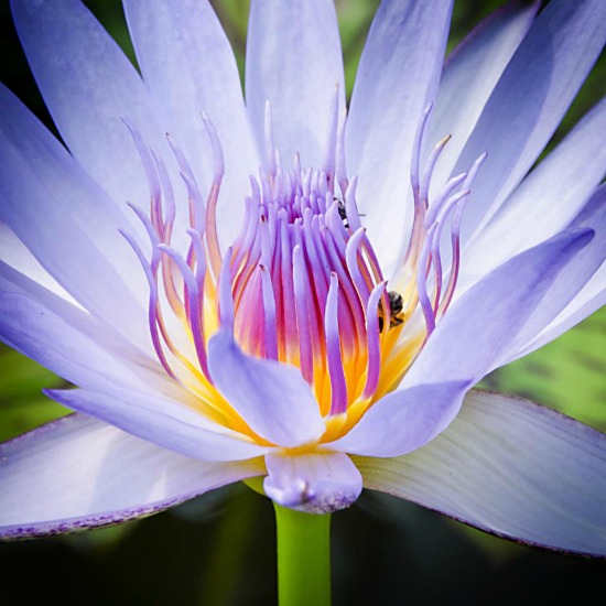 Giancarlo Gotti Photography - Cambodia