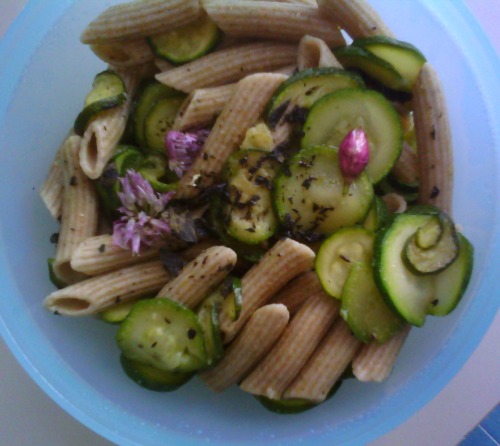 penne kamut