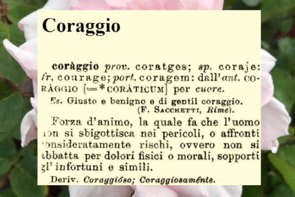 L’amore è l’arma infallibile dei guerrieri coraggiosi