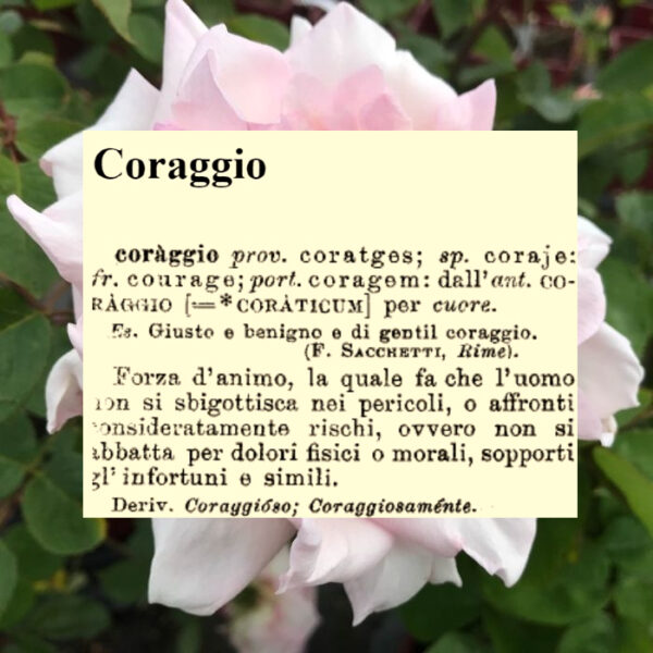 L’amore è l’arma infallibile dei guerrieri coraggiosi